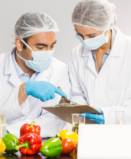 international food technician courses